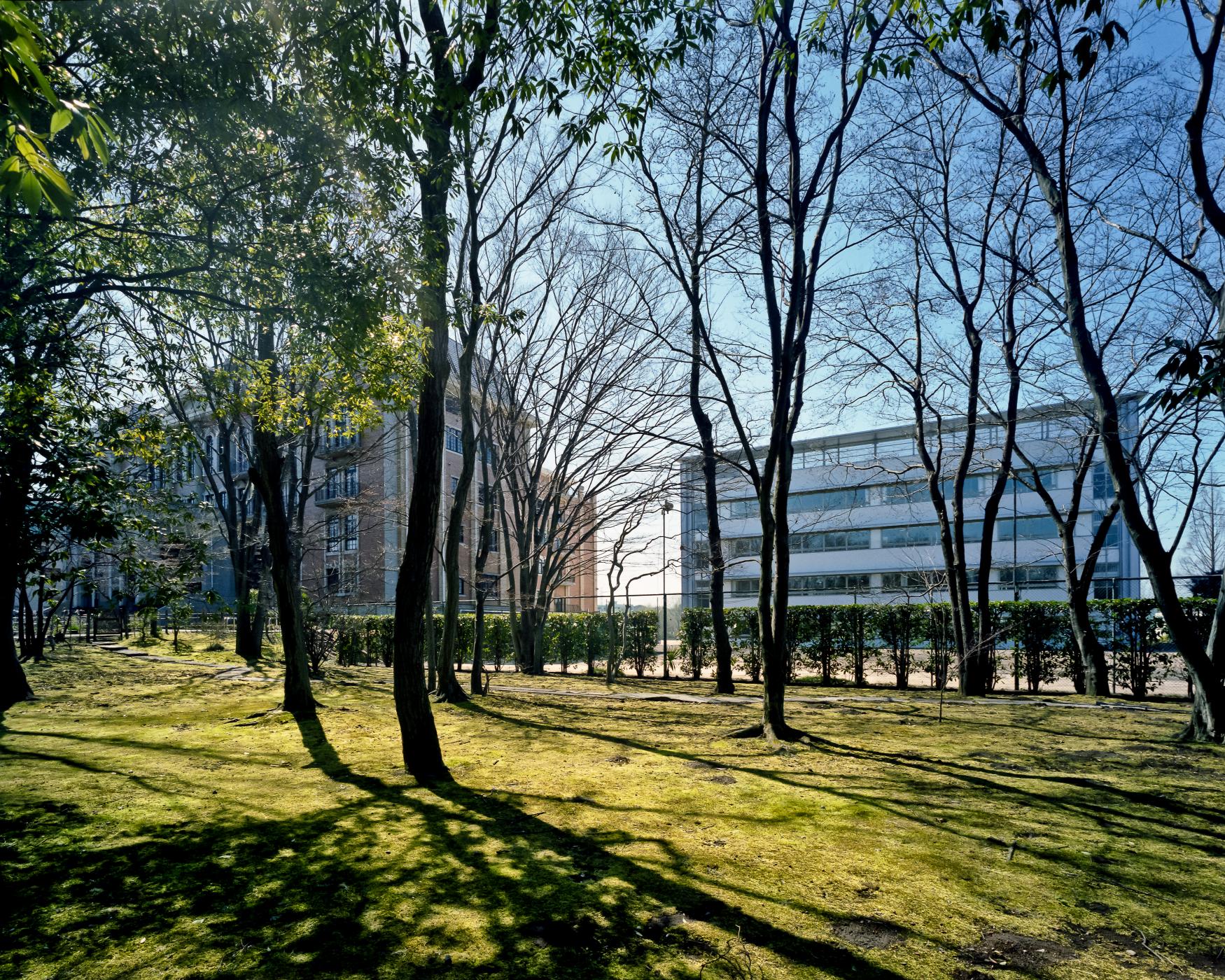 国際学院伊奈キャンパス（仮称）新校舎第1期